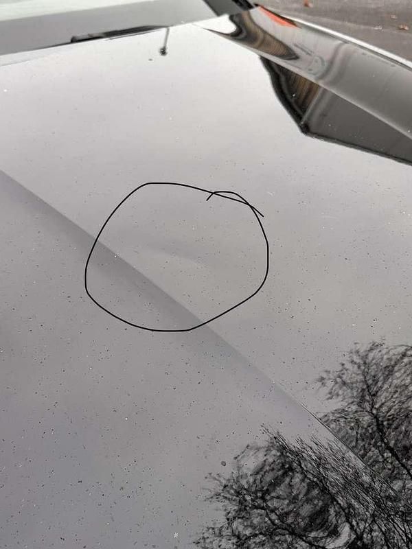 Gebraucht Audi A5 190 PS (139 kW) 2019 Coupé