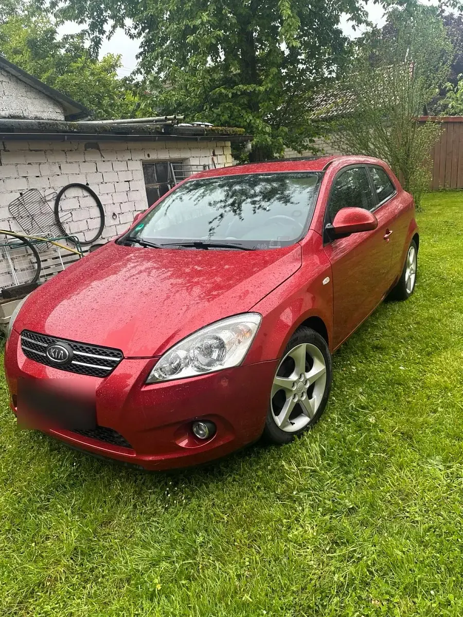 Używany Kia ProCeed 2009 Czerwony Hatchback