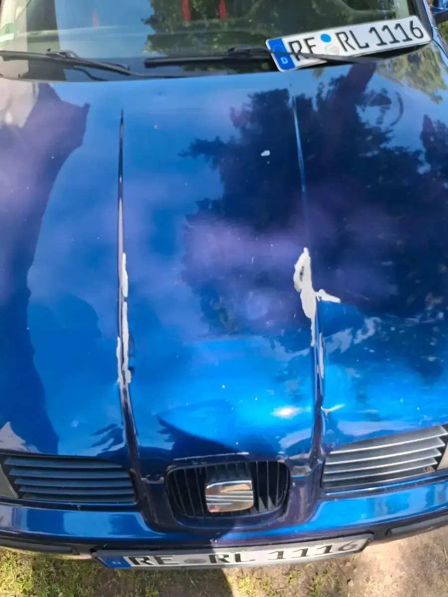 Gebraucht Seat Leon 106 PS (77 kW) 2004 Blau Kleinwagen