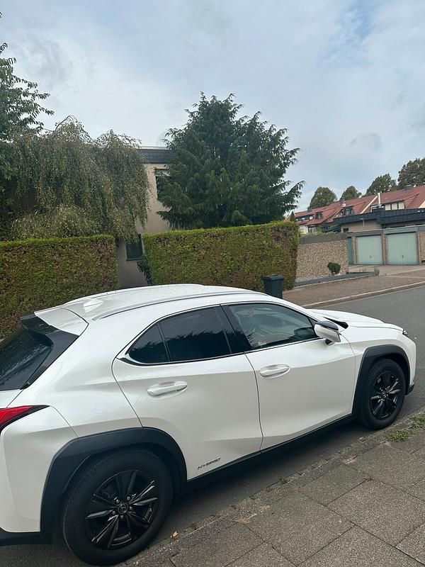 Weiß Gebraucht 2020 Lexus UX 250h SUV | 24.500 € (Etwas zu teuer) - Bild 1/4