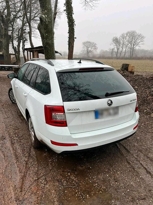 Gebraucht Skoda Octavia 150 PS (110 kW) 2016 Kleinwagen