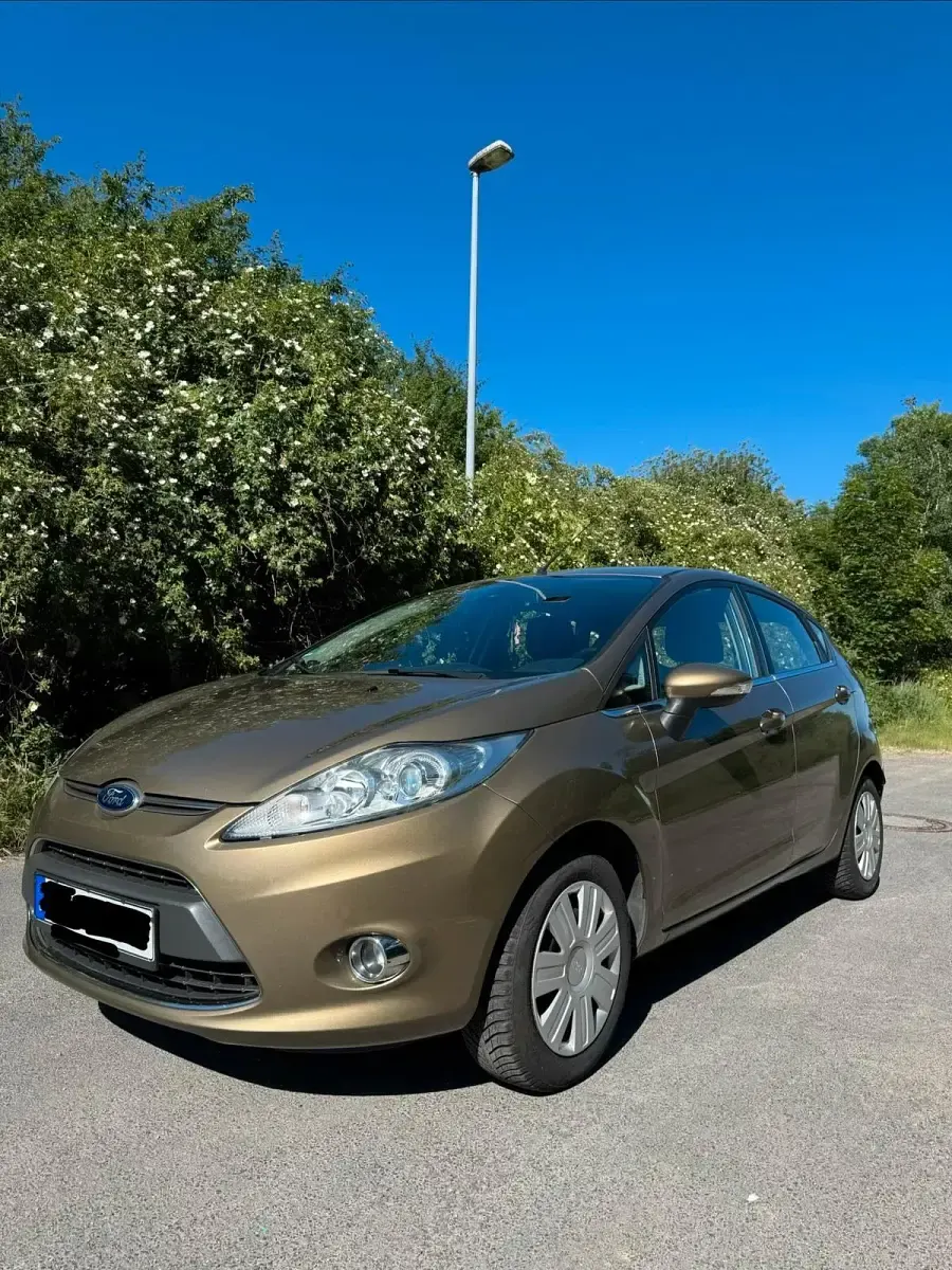 Gebraucht Ford Fiesta Titanium 82 PS (60 kW) 2012 Braun Kleinwagen