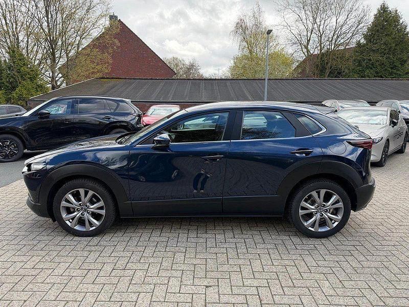 Gebraucht Mazda CX-30 Selection 122 PS (89 kW) 2023 Blau SUV