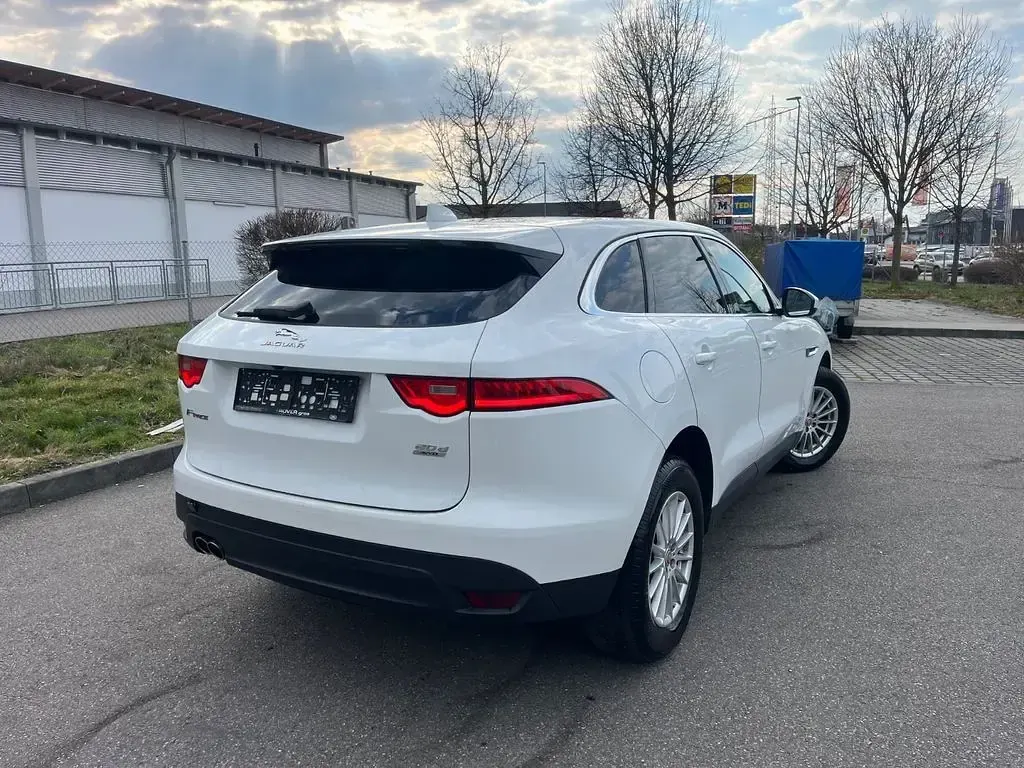 Gebraucht Jaguar F-Pace Pure 179 PS (131 kW) 2017 Weiß SUV
