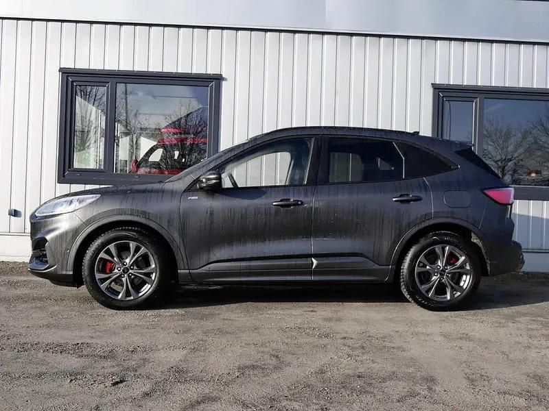 Gebraucht Ford Kuga ST-Line X 150 PS (110 kW) 2024 Magnetic (metallic) SUV