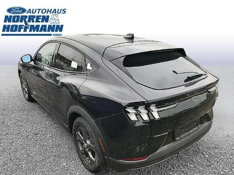 Gebraucht Ford Mustang Mach-E Basis 216 kW (294 PS) 2023 Iridiumschwarz metallic SUV