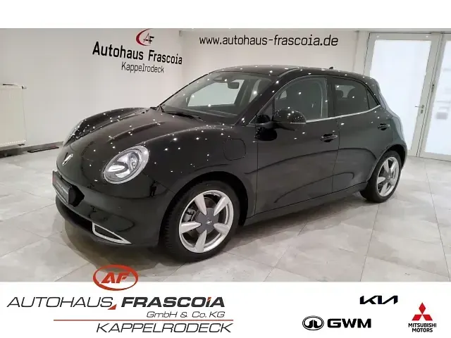 Usado Ora 03 125 kW (171 CV) 2023 Utilitario