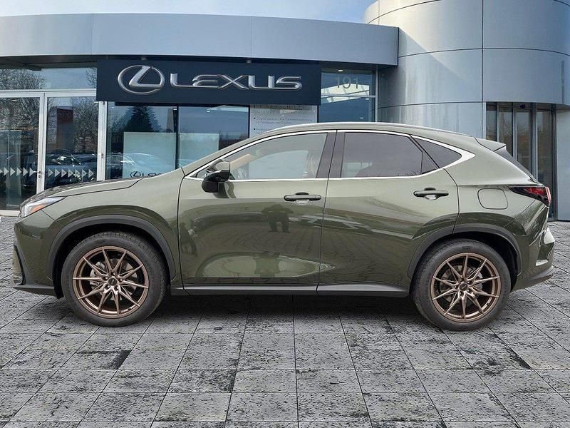 Gebraucht Lexus NX350h Executive Line 243 PS (178 kW) 2022 Norigrün SUV