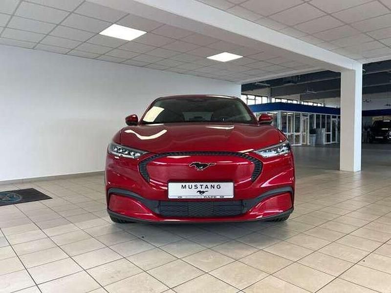 Gebraucht Ford Mustang Extended Range 294 PS (216 kW) 2022 Rot