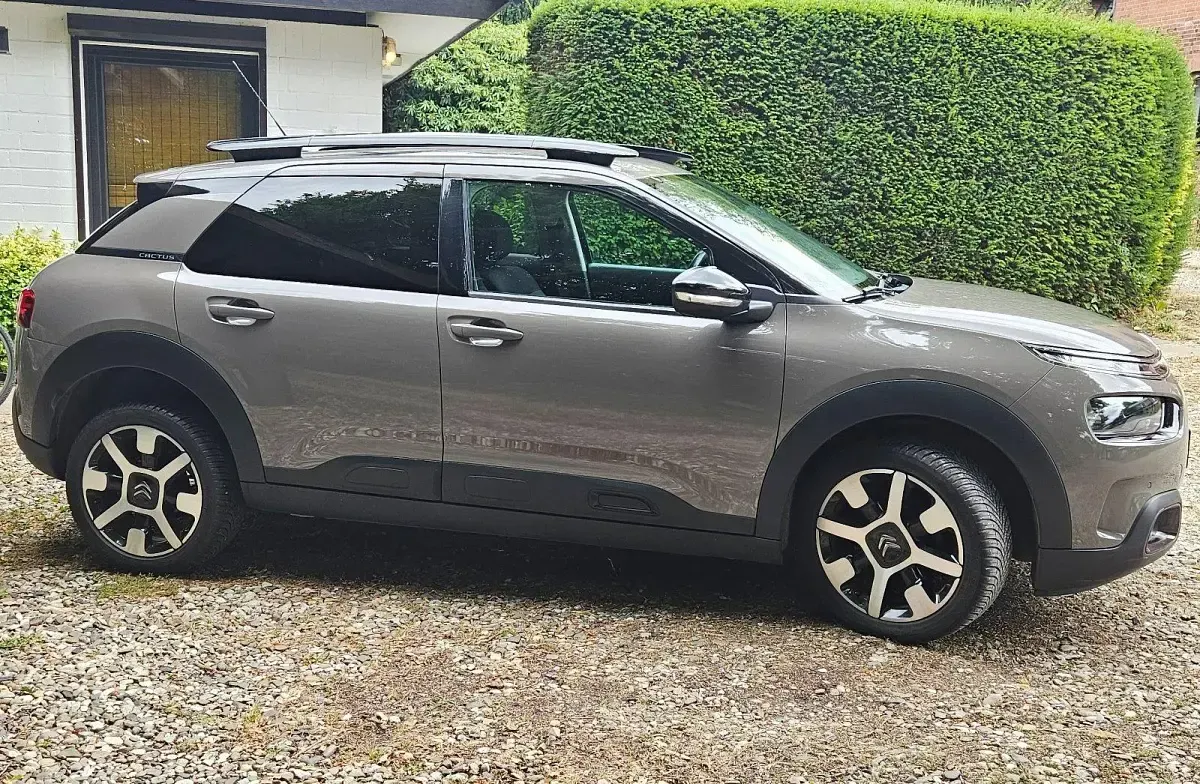 Gebraucht Citroën C4 PureTech 110 PS (80 kW) 2018 Beige SUV