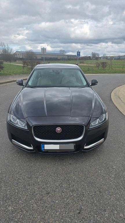 Gebraucht Jaguar XF Pure 163 PS (119 kW) 2016 Blau Limousine