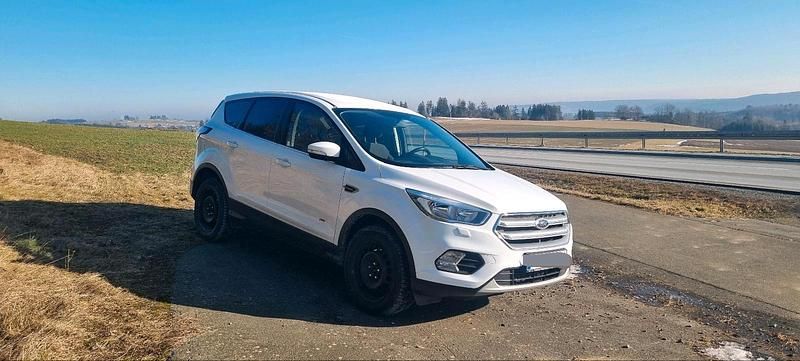 Gebraucht Ford Kuga Trend 150 PS (110 kW) 2017 Weiß SUV