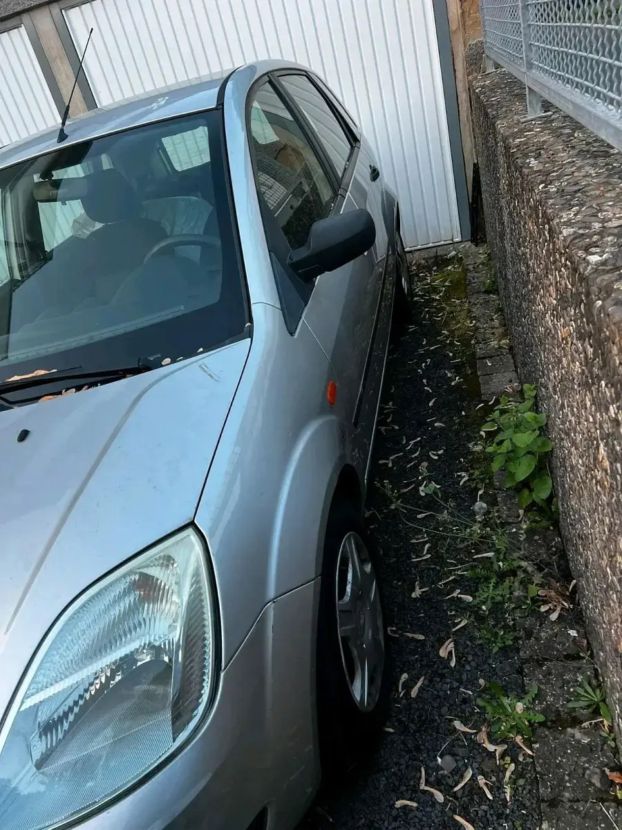 Gebraucht Ford Fiesta 59 PS (43 kW) 2005 Grau Kleinwagen