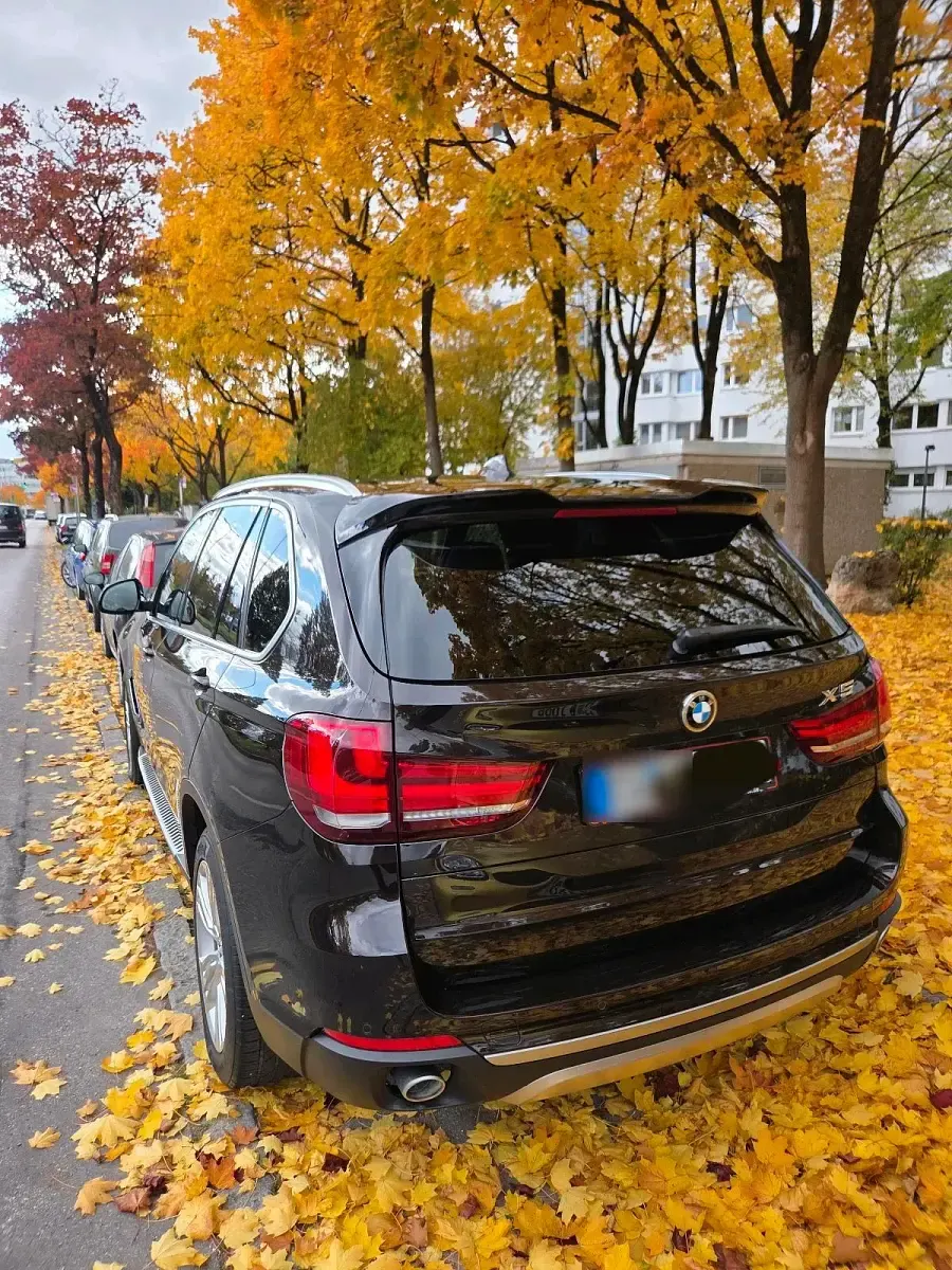 Gebraucht BMW X5 258 PS (189 kW) 2014 Braun SUV