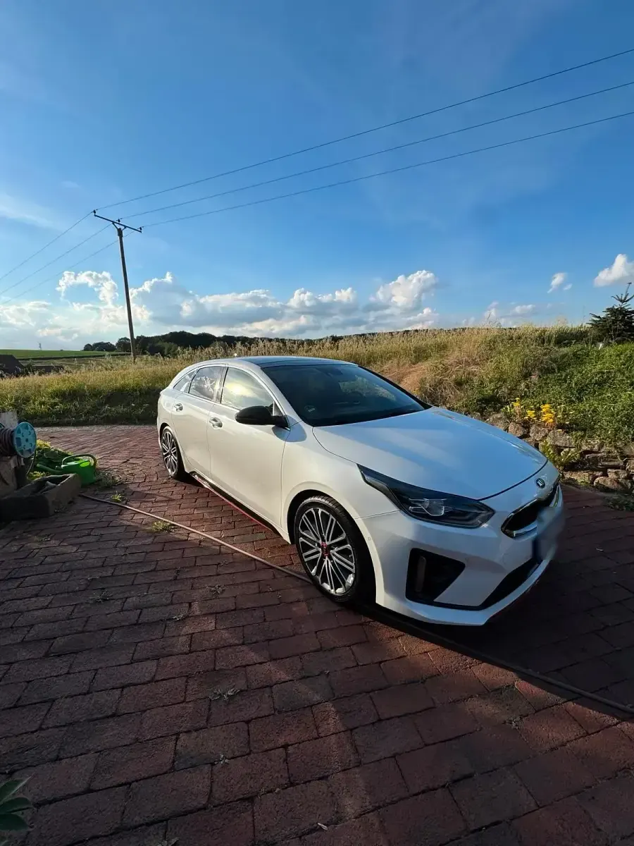 Gebraucht Kia ProCeed 204 PS (150 kW) 2020 Weiß Kombi