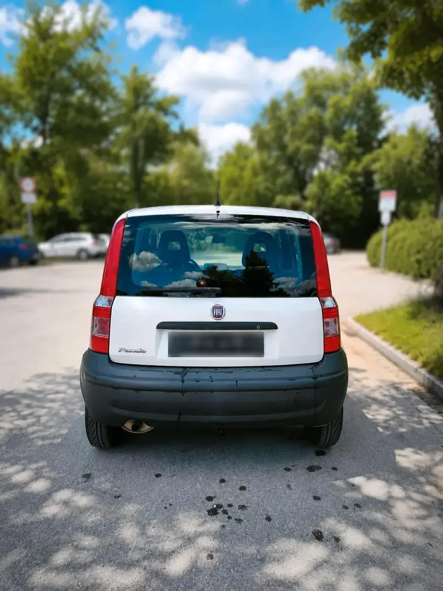 Gebraucht Fiat Panda Active 55 PS (40 kW) 2009 Weiß Kleinwagen