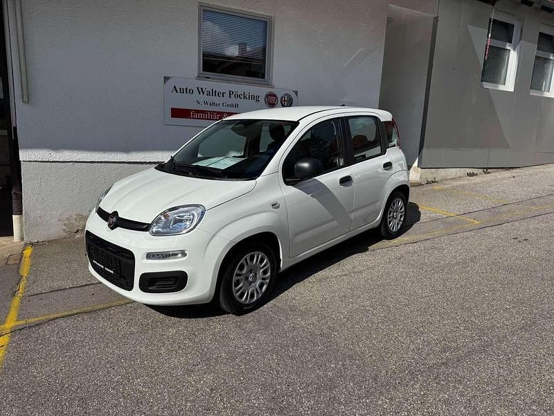 Colore esterno Neu 2024 Fiat Panda Kleinwagen | 15.990 € (Fairer Preis) - Bild 1/4