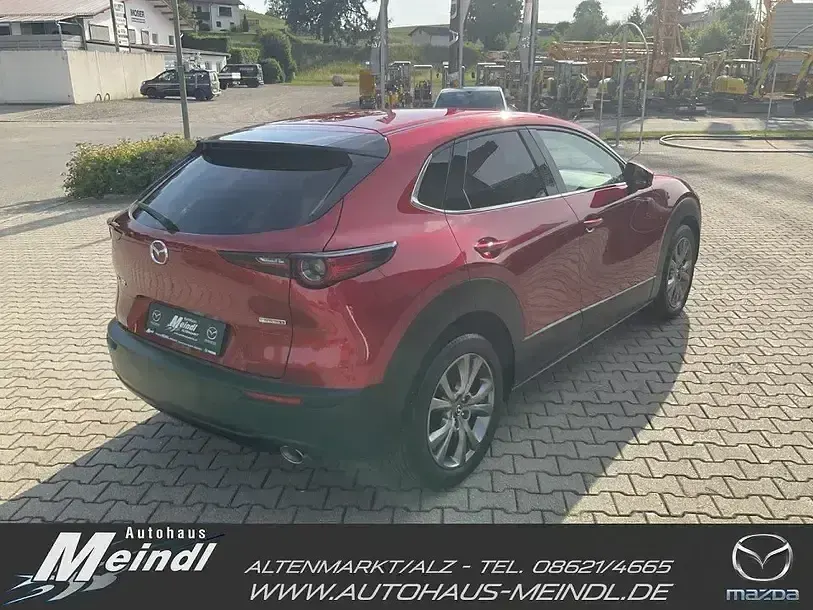 Gebraucht Mazda CX-30 Selection 186 PS (136 kW) 2022 Soul red crystal SUV