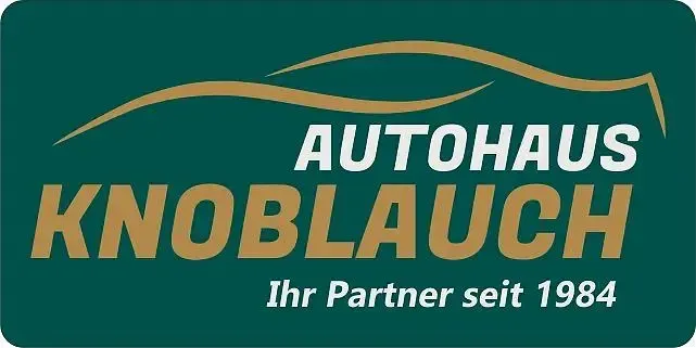 Gebraucht Dacia Spring Extreme 47 kW (65 PS) 2023 Grün Kleinwagen