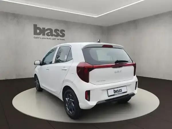 Neu Kia Picanto Vision 68 PS (50 kW) 2025 Schneeweiss Kleinwagen