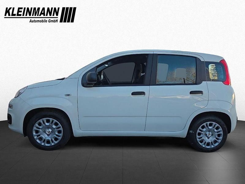 Neu Fiat Panda Icon 65 PS (47 kW) 2026 Gelato weiß Kleinwagen