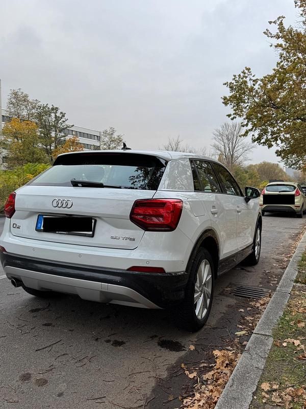 Gebraucht Audi Q2 115 PS (84 kW) 2019 Weiß SUV