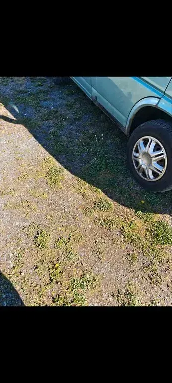 Gebraucht VW T4 102 PS (75 kW) 1997 Grün Van