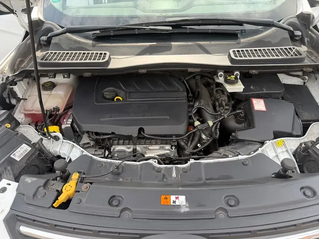 Gebraucht Ford Kuga SYNC Edition 150 PS (110 kW) 2015 Weiß SUV