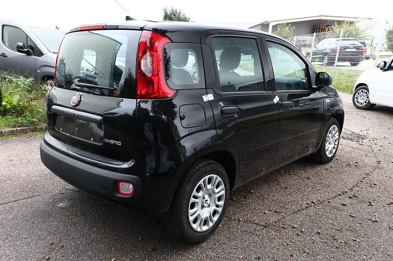 Neu Fiat Panda 69 PS (50 kW) 2025 Cinema schwarz Kleinwagen