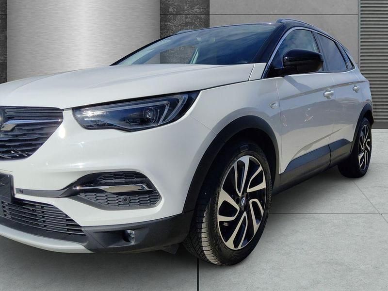 Gebraucht Opel Grandland X Ultimate 131 PS (96 kW) 2019 Jade weiss/arktis weiss SUV