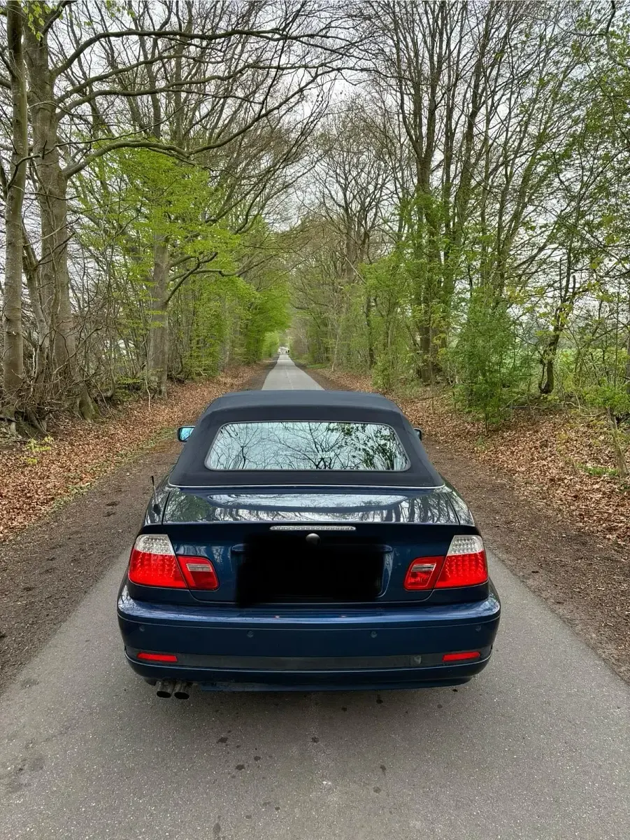 Gebraucht BMW 320 170 PS (125 kW) 2004 Blau Cabrio