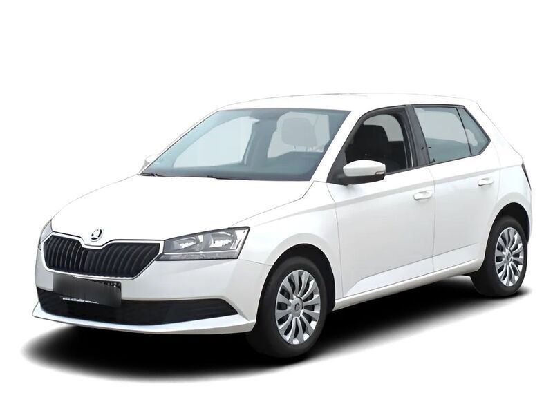 Weiss Gebraucht 2020 Skoda Fabia Cool Plus Kleinwagen | 12.149 € (Guter Preis) - Bild 1/4