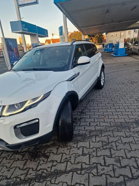 Gebraucht Land Rover Range Rover evoque SE Dynamic 150 PS (110 kW) 2017 Weiß SUV