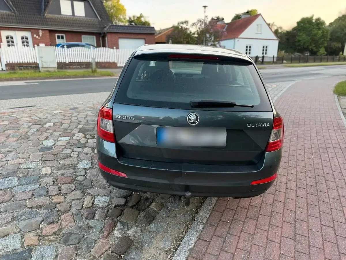 Gebraucht Skoda Octavia Active 105 PS (77 kW) 2015 Grau Kombi