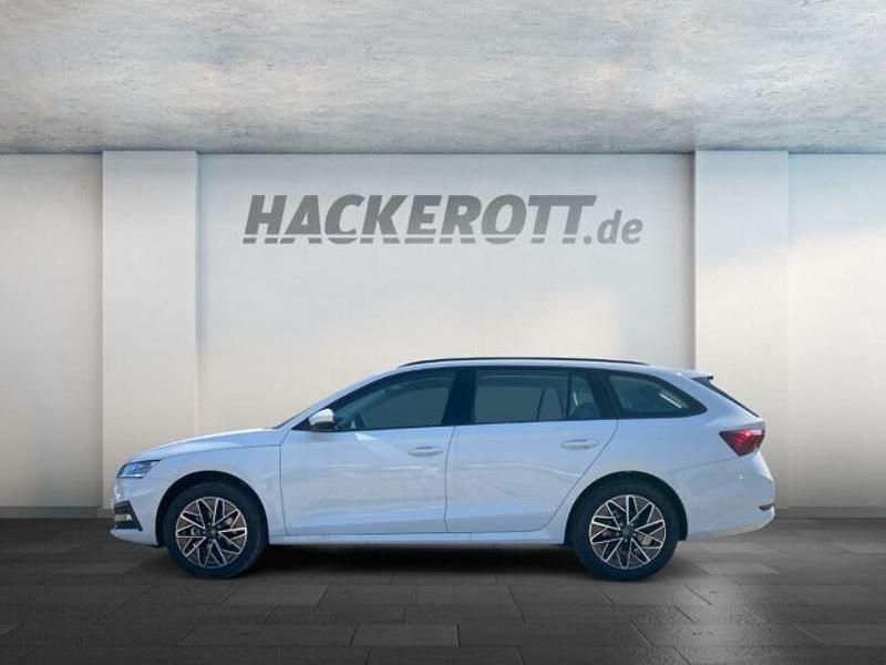 Gebraucht Skoda Octavia Ambition 150 PS (110 kW) 2024 Weiss Kombi