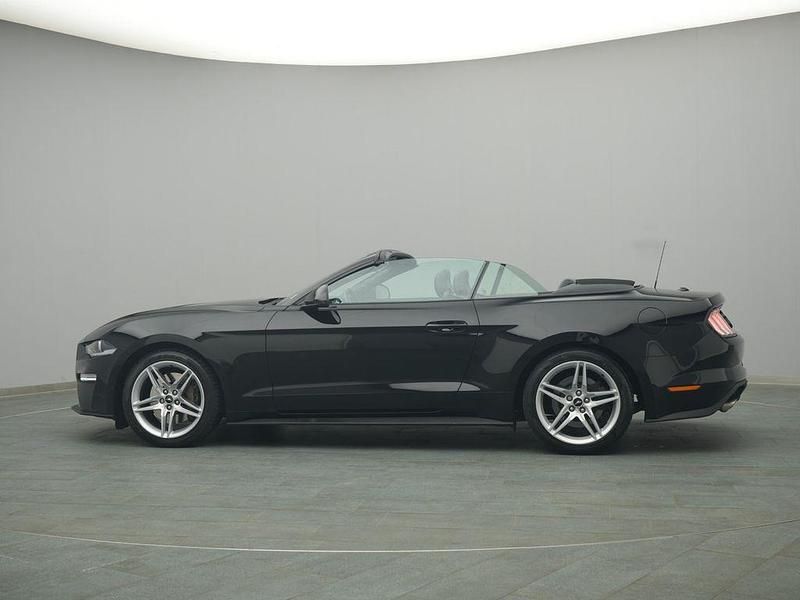 Gebraucht Ford Mustang Premium 290 PS (213 kW) 2019 Schwarz Cabrio