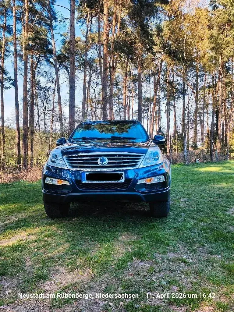 Gebraucht SsangYong Rexton 178 PS (130 kW) 2016 Blau SUV