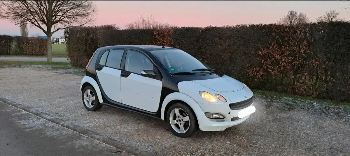 Usata Smart ForFour 75 CV (55 kW) 2006 Bianco Utilitaria