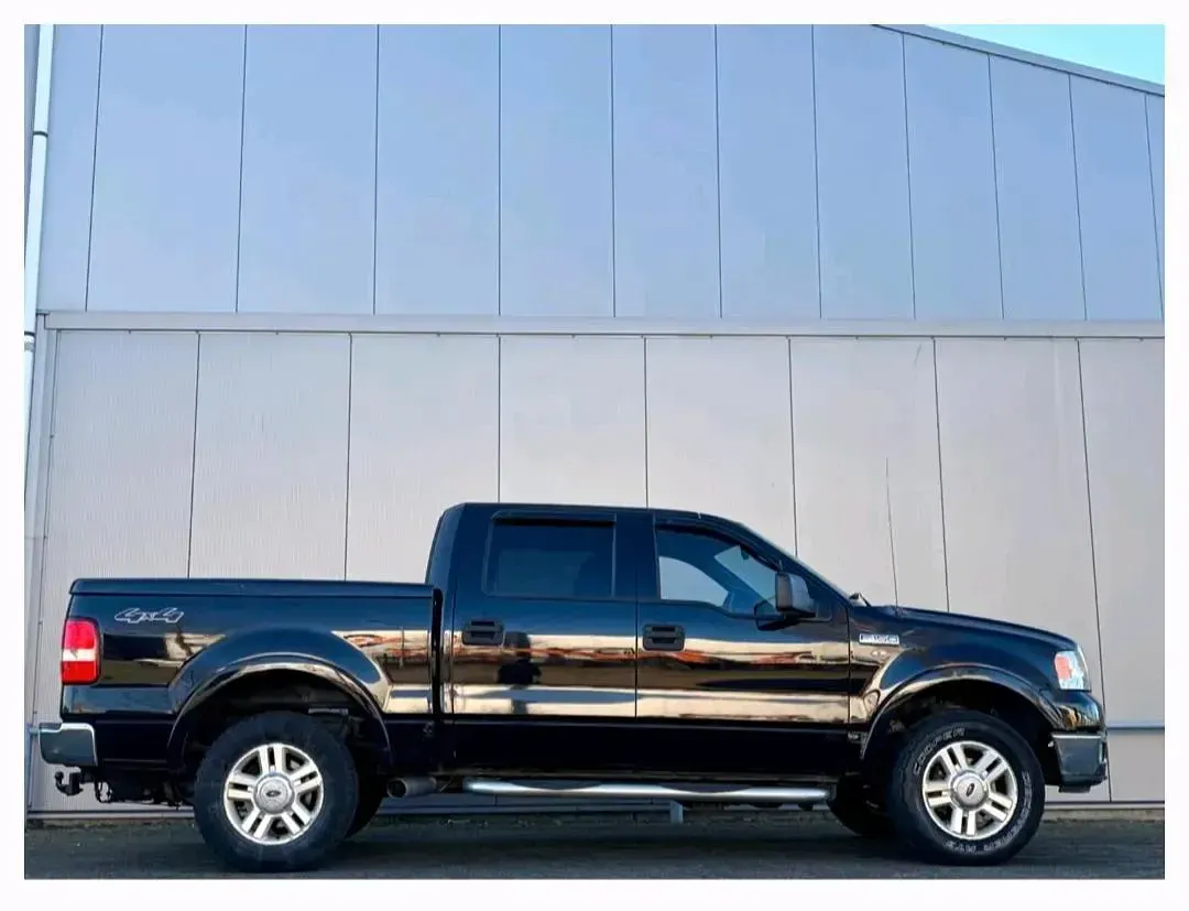 Gebraucht Ford F-150 300 PS (220 kW) 2004 Schwarz Pickup