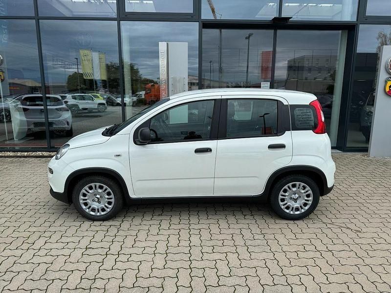 Gebraucht Fiat Panda 69 PS (50 kW) 2024 Weiß Limousine
