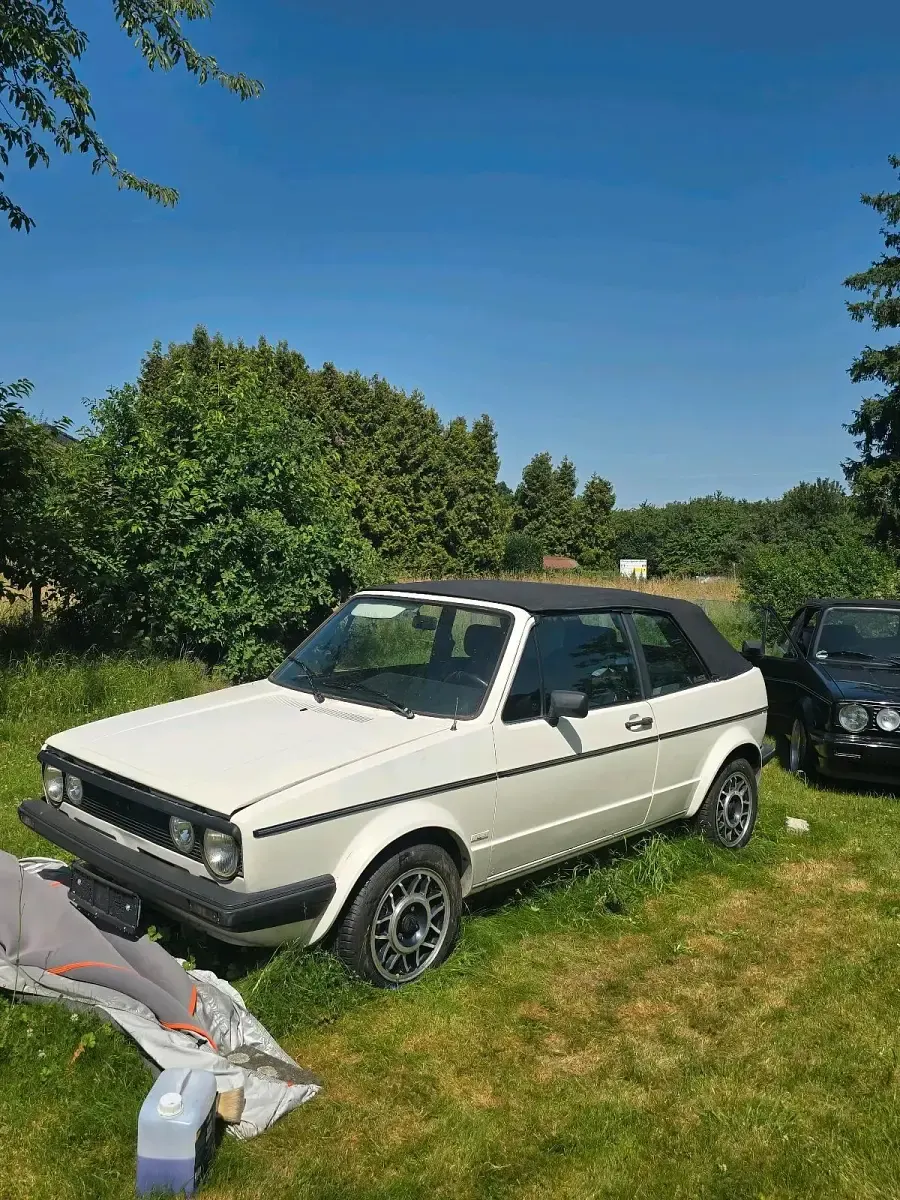 Gebraucht VW Golf Cabriolet 75 PS (55 kW) 1987 Weiß Cabrio