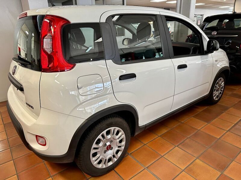Gebraucht Fiat Panda 69 PS (50 kW) 2023 Weiß Kleinwagen