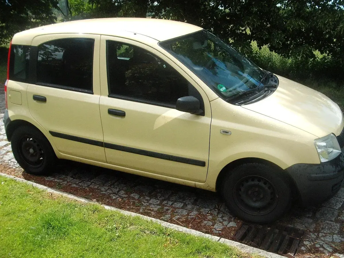 Gebraucht Fiat Panda Active 54 PS (39 kW) 2009 Gelb Kleinwagen