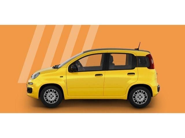 Neu Fiat Panda Icon 69 PS (50 kW) 2025 Positano gelb Kleinwagen