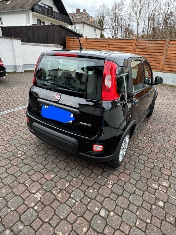 Schwarz Gebraucht 2023 Fiat Panda Kleinwagen | 10.000 € (Guter Preis) - Bild 1/4