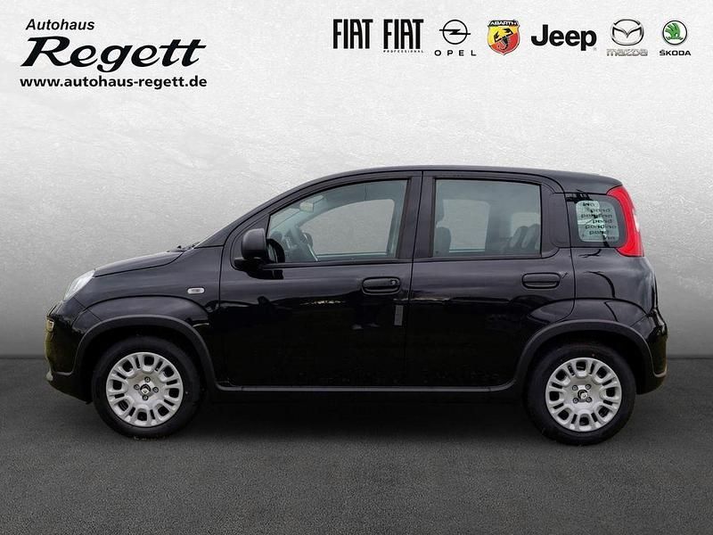 Gebraucht Fiat Panda 69 PS (50 kW) 2024 Schwarz Kleinwagen