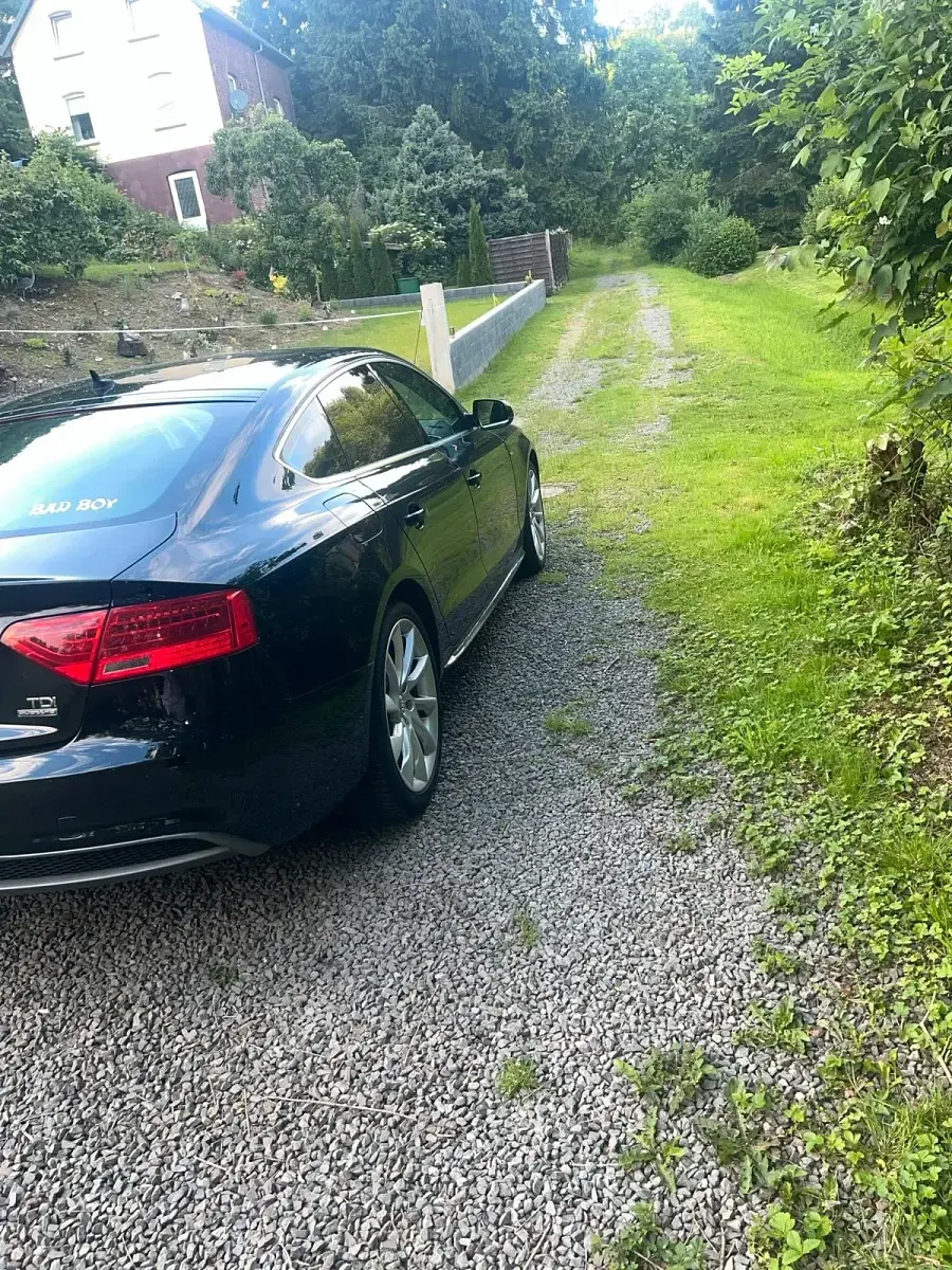 Gebraucht Audi A5 Sportback 190 PS (139 kW) 2016 Schwarz Kleinwagen