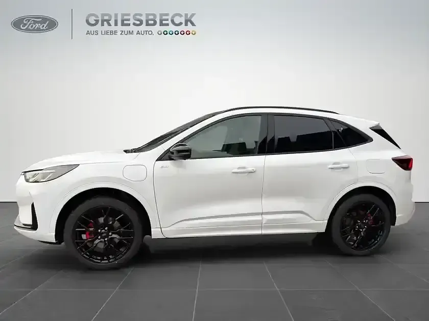 Neu Ford Kuga ST-Line X 242 PS (177 kW) 2026 Frostweiss SUV