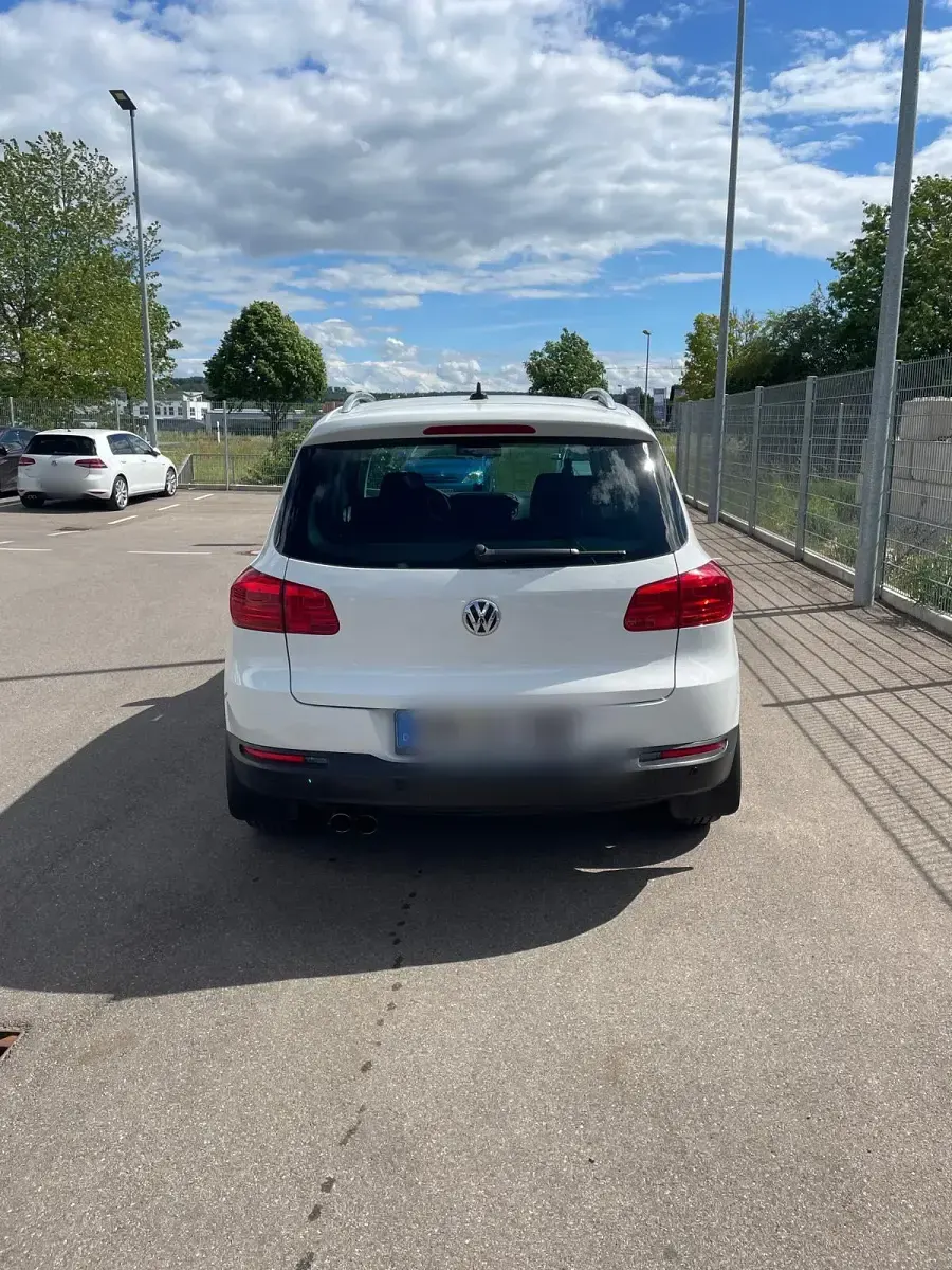 Gebraucht VW Tiguan Sport 140 PS (102 kW) 2015 Weiß SUV