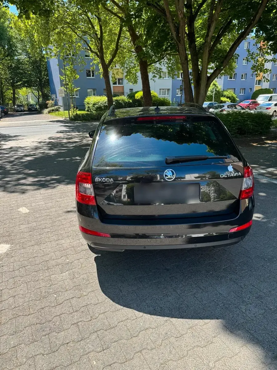 Gebraucht Skoda Octavia 105 PS (77 kW) 2017 Schwarz Kombi